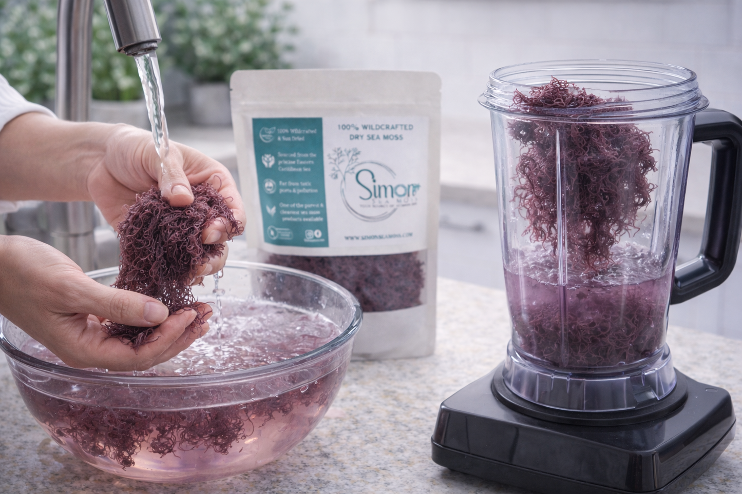 Purple - Dry Sea Moss 4oz